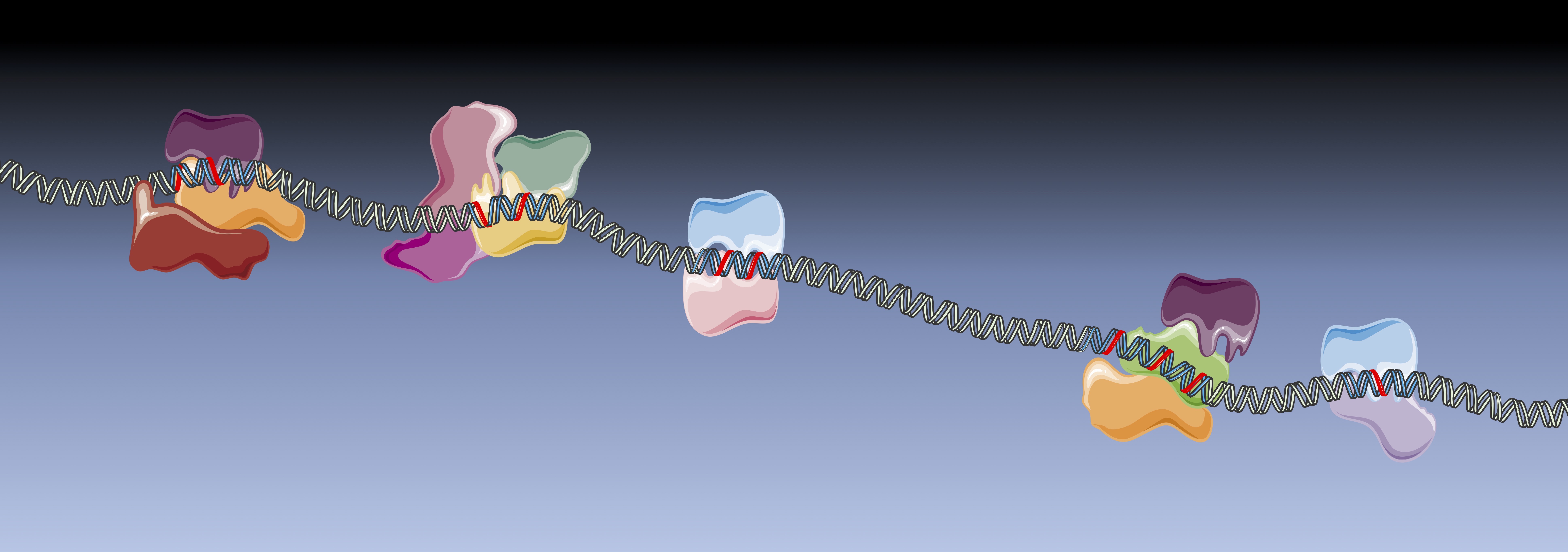 “MUTAZIONI TUMORIGENICHE NEL JUNK DNA”- Credits CEINGE