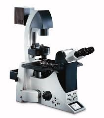 DMI4000B, Leica (microscopio invertito) 
