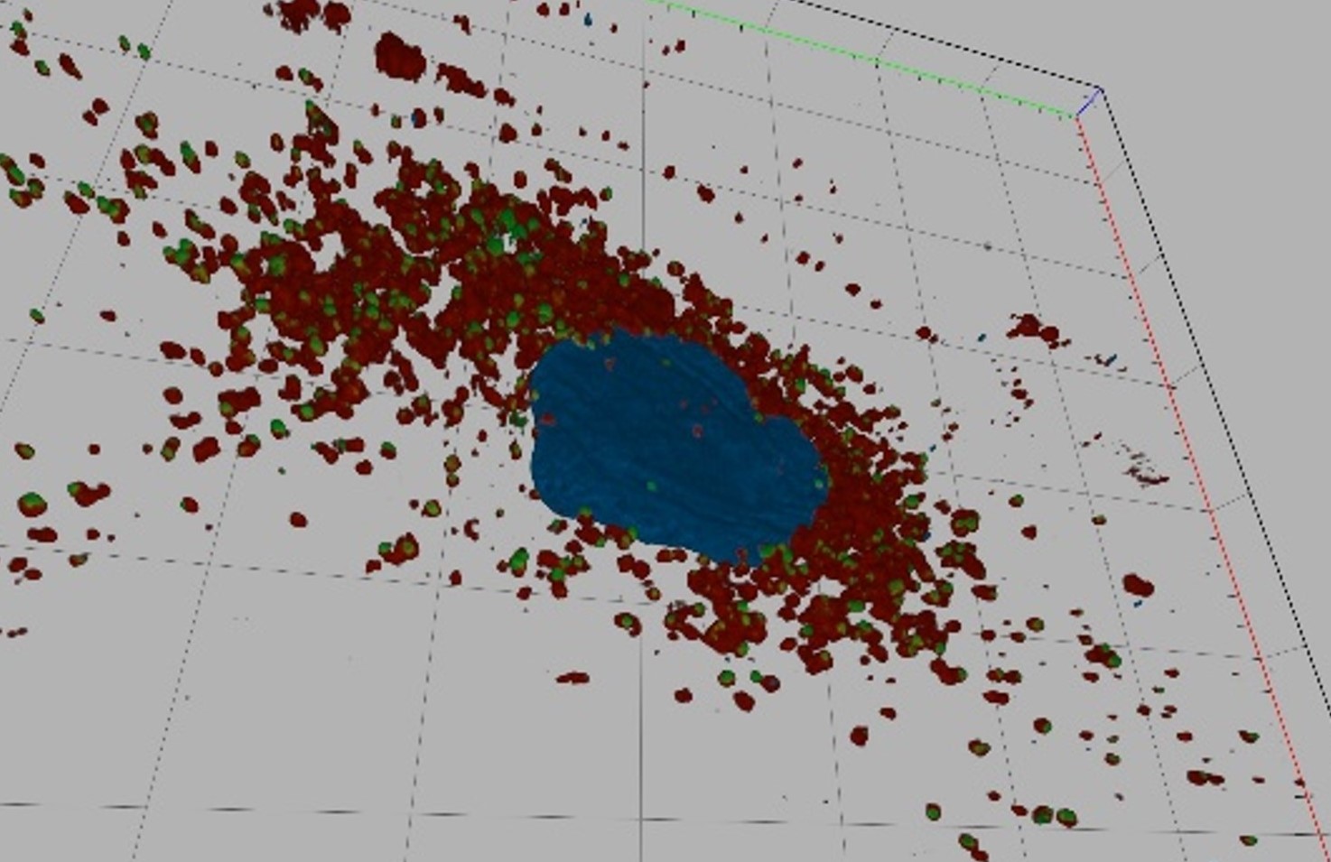 Ricostruzione in 3D -ft CREDITS@CEINGE